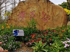 -聚龙山公园