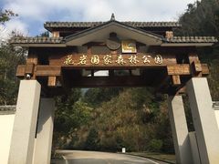 -花岩国家森林公园