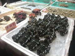 -澳门环岛游湾仔码头