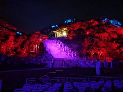 -印象普陀