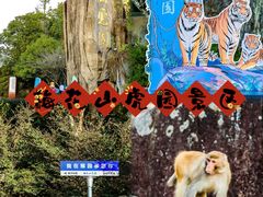 -龙岩梅花山虎园