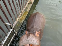 -海南热带野生动植物园