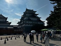 -名古屋城