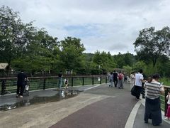 -苏州上方山国家森林公园