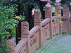 -棠湖公园