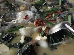 鱼头-史记安仁鱼头(浙闽赣食用菌交易中心店)