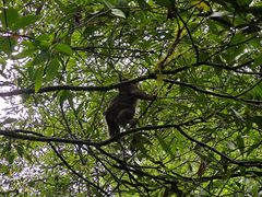 -西岭雪山大飞水景区