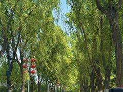 -咸阳湖景区