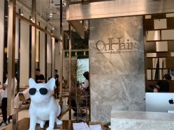 点击看大图 -OnHair Salon