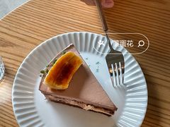 -猫里有甜