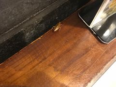 -京门老爆三(回龙观店)