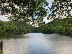-白马涧龙池景区