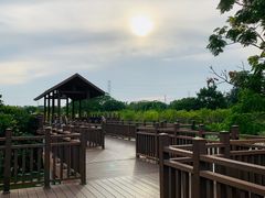 -海上田园