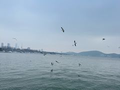 -云龙湖旅游景区