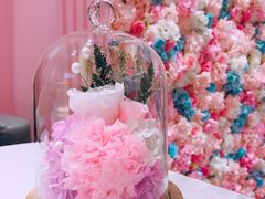 -金私燕鲜炖燕窝(万达店)
