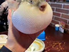 -永安鱼庄·镇江菜(东吴路店)