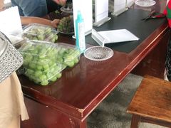 -马陆小张葡萄园农家乐