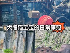 -武汉动物园