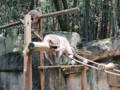 -杭州野生动物世界