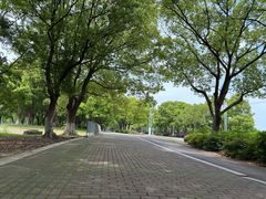 -阳澄湖半岛旅游度假区