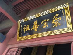 -大槐树寻根祭祖园