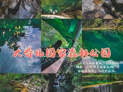 -大奇山国家森林公园