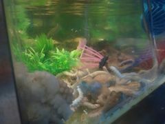 -V-ONE西雅图海鲜自助餐厅(仓山万达广场店)