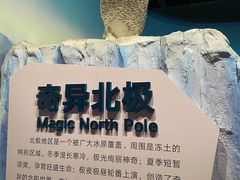 -陕西自然博物馆