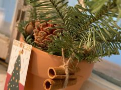 -春树下·树屋花房西餐厅(罍街AS1980店)