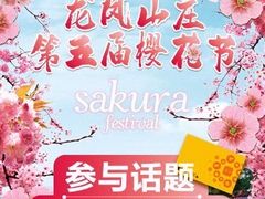 -龙凤山庄影视度假村