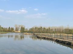 -溱湖国家湿地公园