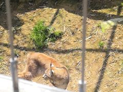 -宁波野生动物园