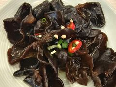 凉拌木耳-康师傅私房牛肉面(马泉营奥莱店)