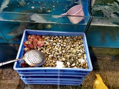 -海帮主·蒸汽海鲜青岛菜(栈桥火车站店)