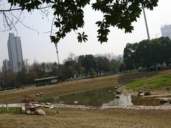 -后襄河公园