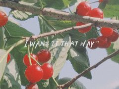 -樱桃山旅游景区