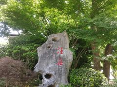 -浙江西子宾馆·牡丹厅