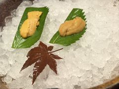-月龍吟(朝龙汇店)
