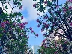 -马里安曼兴都庙