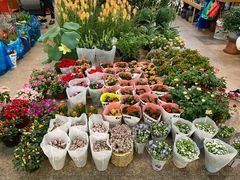 -双季花艺园艺市场(浦东店)