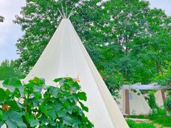 -安德鲁户外烧烤帐篷营地(马泉营店)