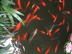 钦善斋-钦善斋(武侯祠店)