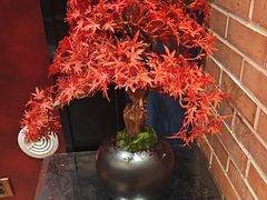-囍榷·鲜美常州菜(恐龙园店)