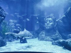 -暹罗海洋世界