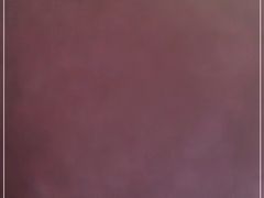 -美滋每客(太原龙湖苏宁百货店)