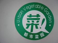-上海都市菜园