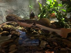 -Zoolung Zoolung动物主题公园(海信广场店)