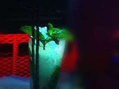 -MOSSO德国餐厅·音乐酒吧(环宇荟店)