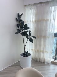 -HEYAN荷妍专业脱毛连锁机构