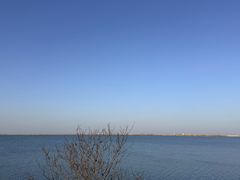 -江滩湿地公园